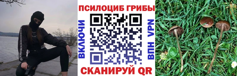 наркошоп  blacksprut   Галлюциногенные грибы Psilocybe  это какой сайт  Нижнекамск 